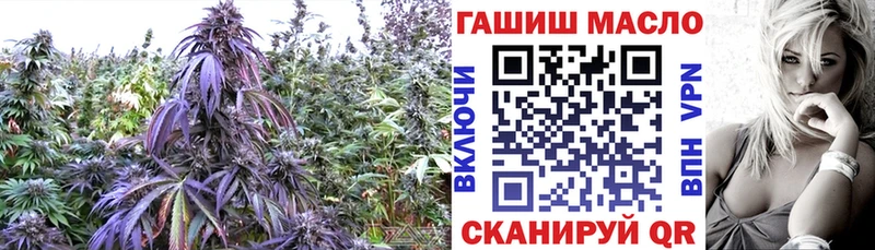 Дистиллят ТГК вейп  цены   Старая Русса 