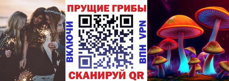 купить   Старая Русса  Галлюциногенные грибы MAGIC MUSHROOMS 