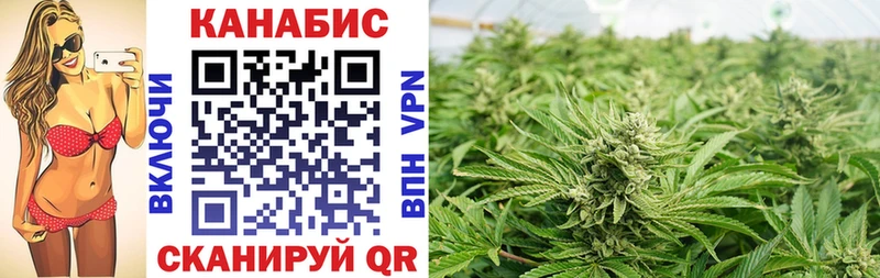 Бошки Шишки SATIVA & INDICA ссылка на мегу онион Старая Русса закладка